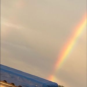 Meet your Posher, Alice